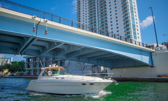 Profitez de Miami In Sea Ray 42 pieds ! ! ! Le meilleur de Miami ! ! !