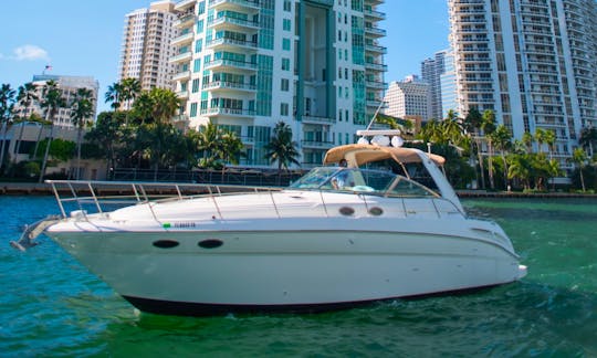 Enjoy Miami In Sea Ray 42ft!!! Best In Miami!!!