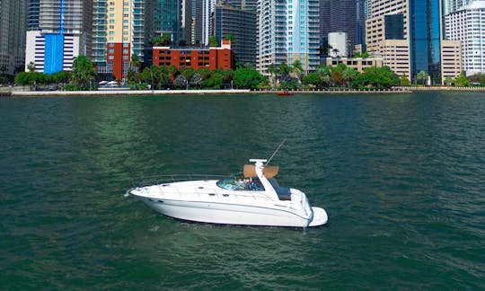 ¡Disfruta de Miami en Sea Ray 42 pies! ¡¡¡Lo mejor de Miami!!!