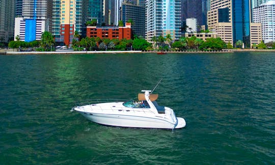 Enjoy Miami In Sea Ray 42ft!!! Best In Miami!!!