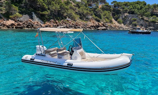 Capelli Tempest 585 RIB en alquiler en Calvià, España