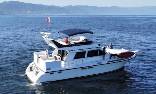 ❤️ 🏖️ Yacht spacieux de 50 pieds avec flybridge le mieux noté à Puerto Vallarta