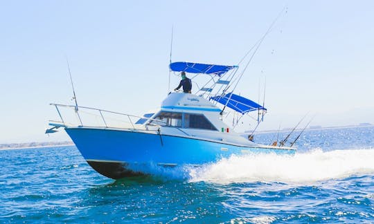 Fishing Marina La Cruz and Punta de Mita