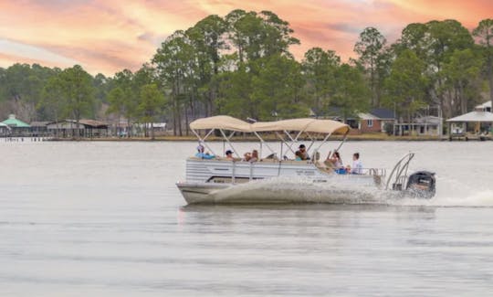 Suncatcher G3 Pontoon 24ft in Orange Beach, Alabama