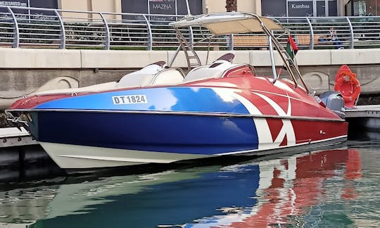 Barco elegante y cómodo de 33 pies para un recorrido