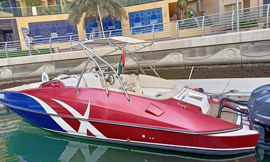 Barco elegante y cómodo de 33 pies para un recorrido