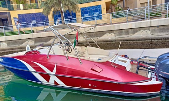 33ft Stylish and Comfortable Boat for Tour