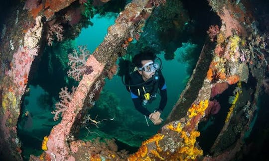 USAT Liberty Shipwreck - L'épave plongable la plus facile au monde