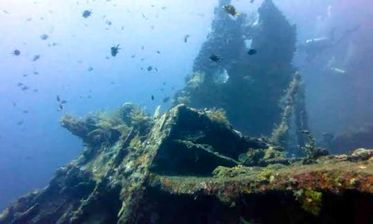 USAT Liberty Shipwreck - The world easiest dive-able shipwreck