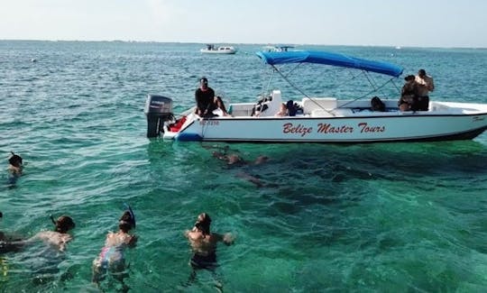 Snorkeling at Hol Chan and Shark Ray Alley