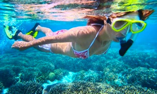 Snorkeling Tour from San Pedro Ambergris Caye