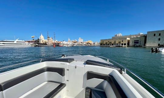 42 ft center console speed boat / Visit Rosario Islands and Baru