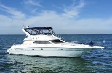 50ft Sea Ray Yacht for Charter in Richmond, BC