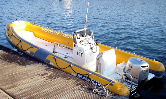 Bateau à moteur BWA de 7,4 m à Sesimbra, Portugal