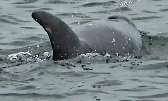 Excursions privées en bateau sur l'île d'Émeraude