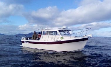 Location de pêche Osprey Pilothouse à cabine longue de 26 pieds