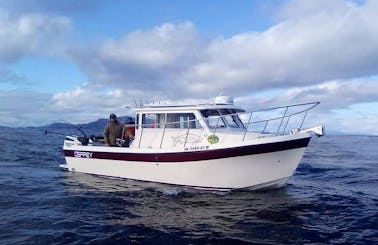 26’ Long-Cabin Osprey Pilothouse Fishing Charter