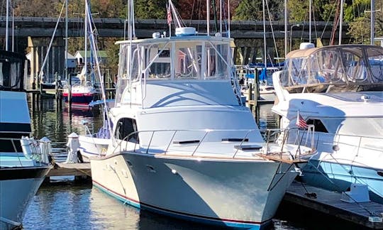 Sportfish Charters and Cruises on the Chesapeake