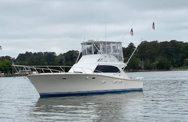 Sportfish Charters and Cruises on the Chesapeake