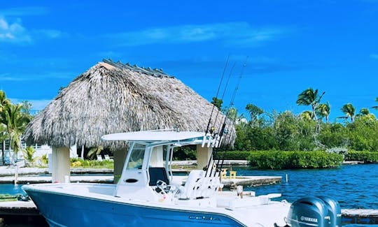 26 Foot Cobia (Summer is Here!)