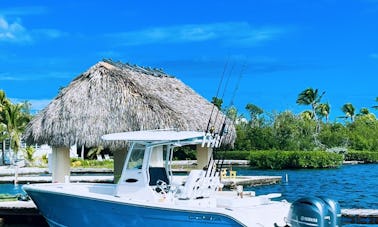 COBIA DE 26 PIEDS - Miami/Fort Lauderale/Hollywood - BANC DE SABLE, PÊCHE, AMUSEMENT !