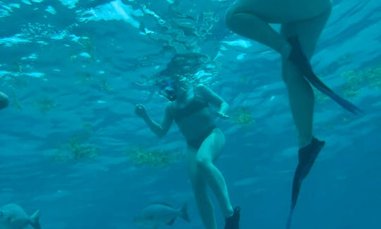 Snorkeling with Manta VIP