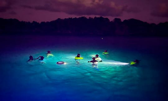Night Snorkeling Boat Experience with Snack and Drinks