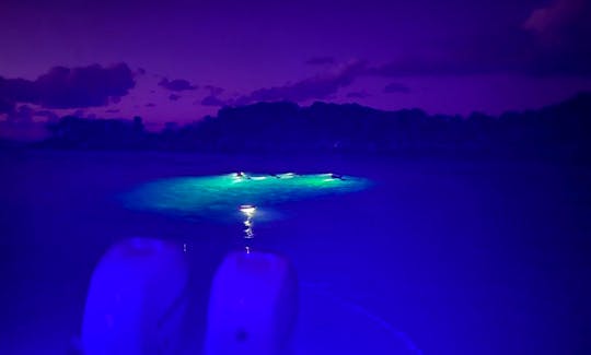 Night Snorkeling Boat Experience with Snack and Drinks