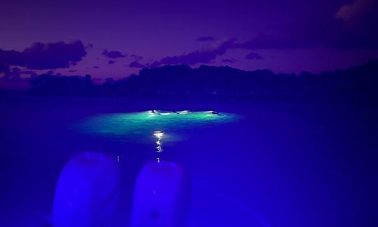 Night Snorkeling Boat Experience with Snack and Drinks