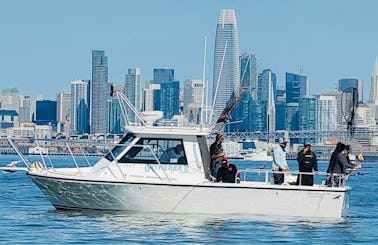 Beautiful Modern Power Boat with Master Captain in Berkeley Marina