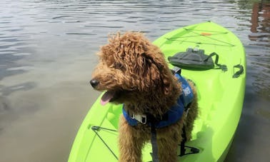 2019 Model Tahoma Kayak Rental in Lehi, Utah