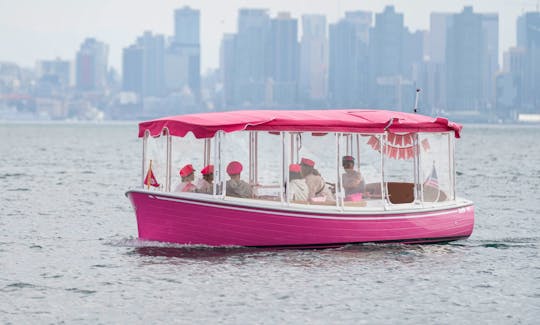 Pink party Boat cruise with a captain in San Diego Bay! Morning, afternoon and sunset time tours are available!