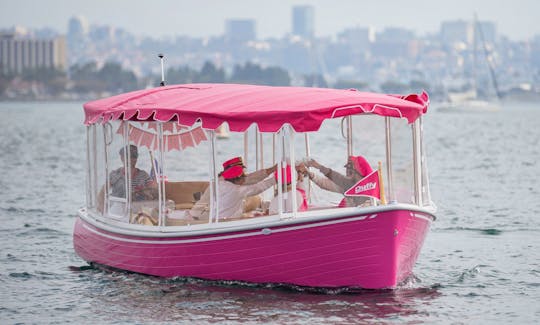 Pink party Boat cruise with a captain in San Diego Bay! Morning, afternoon and sunset time tours are available!