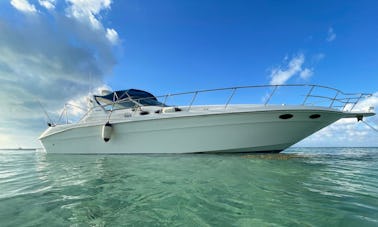 Searay Sundancer de 40 pés em Grand Cayman