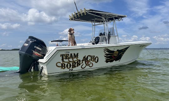 Sailfish 23ft Center Console Charter in St. Petersburg