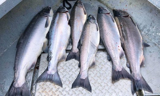 Guided Fishing Trips In Soldotna, Alaska