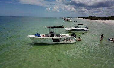 Boat Charter & Dolphin Watching Tours in Tampa with Local Captain