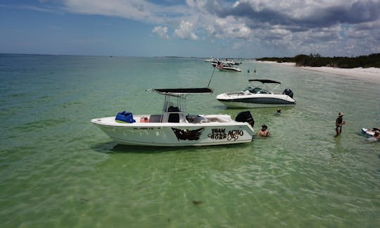 Sailfish Dolphin Watching Tours in Tampa