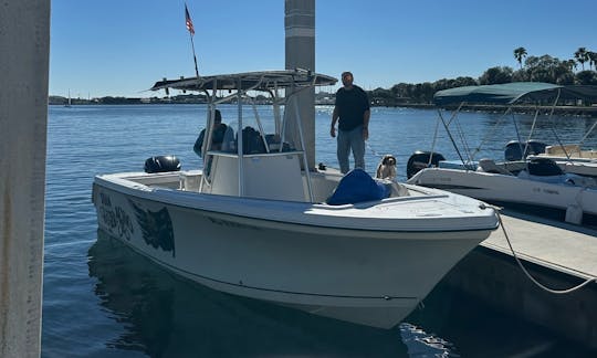 Sailfish Dolphin Watching Tours in Tampa