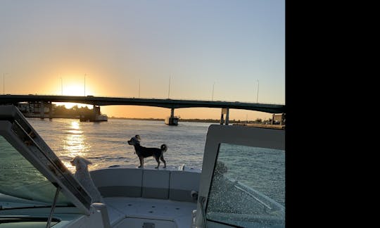 Day & Sunset Cruises Miami Waterways