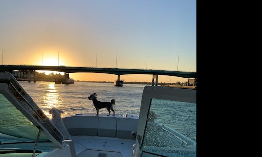 Day & Sunset Cruises Miami Waterways