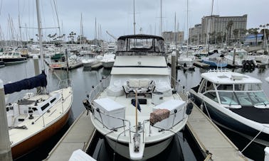 42’ Multi Level Cruiser In Marina del Rey