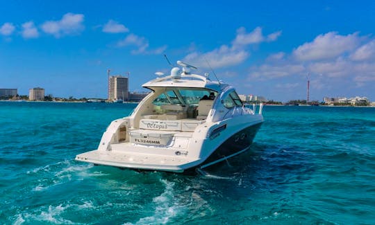 Gorgeous Sea Ray 50 plus free video drone in Cancún, Quintana Roo