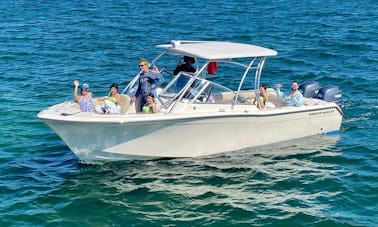 28ft Grady White. Private Charter, Stingrays, snorkeling, Starfish and more!