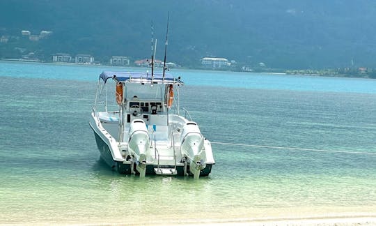 マヘ周辺の小旅行を私たちと一緒に予約してください！