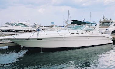 46' Sea Ray Express (KMB #9) - Perfect for Parties!