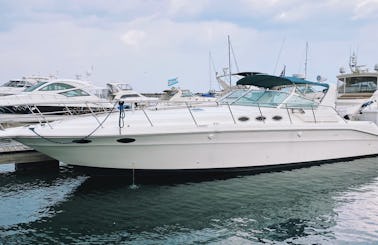 46' Sea Ray Express—Perfect for PARTIES & SUNSET CRUISES! (KMB #16)