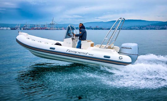 Tempest Capelli 600 Very fast and very powerful RIB in Orebić