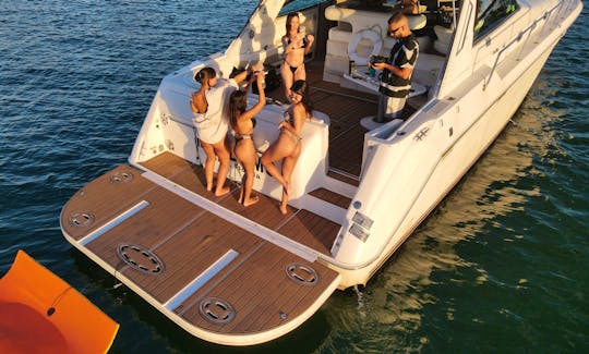55' Searay Sundancer FROM MONDAY - FRIDAY 1 FREE JET SKI  FOR 1 HOUR (4 HOURS or more trip)