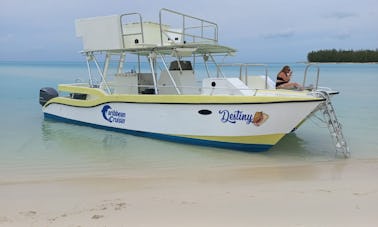 Edvardo Power Catamaran Rental in Leeward Settlement, Caicos Islands